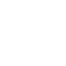 Business Icon