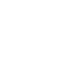 Residential Property Icon