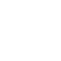 Smsf Icon